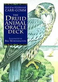 The Druid Animal Oracle Deck — photo 2