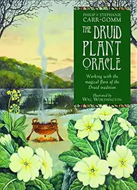 The Druid Plant Oracle: Working with the Magical Flora of the Druid Tradition (36 Cards and 144 Page Guidebook) [With Booklet] — photo 2