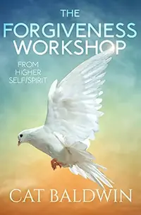 The Forgiveness Workshop: From Higher Self/Spirit — photo 2