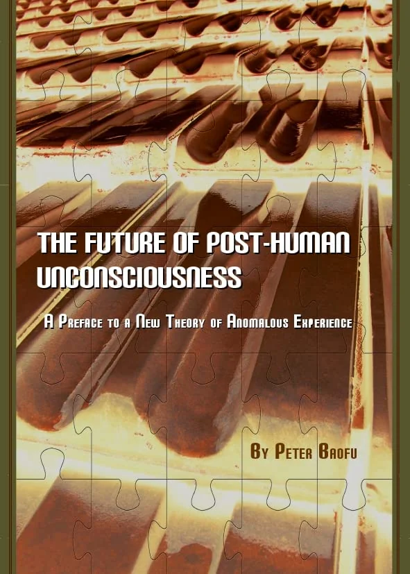 The Future of Post-Human Unconsciousness: A Preface to a New Theory of Anomalous Experience — photo 3