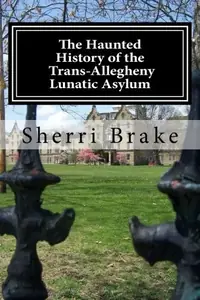 The Haunted History of the Trans Allegheny Lunatic Asylum — photo 2
