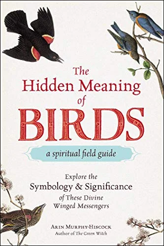 The Hidden Meaning of Birds--A Spiritual Field Guide: Explore the Symbology and Significance of These Divine Winged Messengers — photo 3