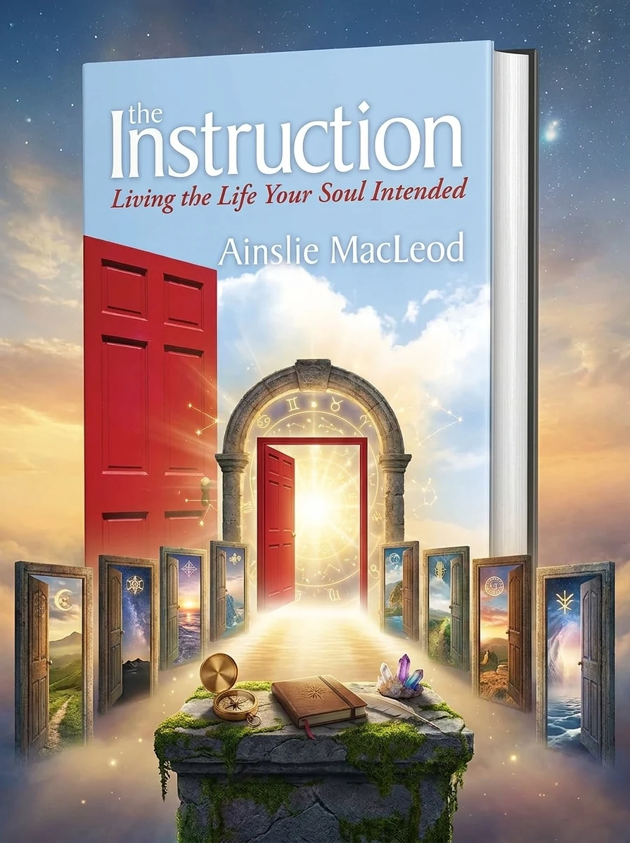 The Instruction: Living the Life Your Soul Intended (16pt Large Print Edition)