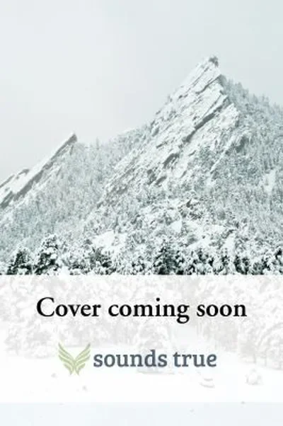The Kitchen Healer: The Journey to Becoming You — dewey-pub:Sounds True