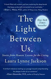 The Light Between Us: Stories from Heaven. Lessons for the Living. — photo 2