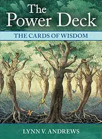 The Power Deck — photo 2