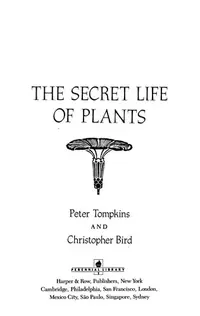 The Secret Life of Plants: A Fascinating Account of the Physical, Emotional, and Spiritual Relations Between Plants and Man — photo 2