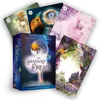 The Shaman's Dream Oracle: A 64-Card Deck and Guidebook — photo 2