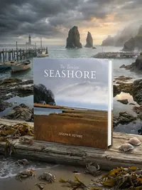 The Timeless Seashore — photo 1