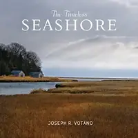 The Timeless Seashore — photo 2