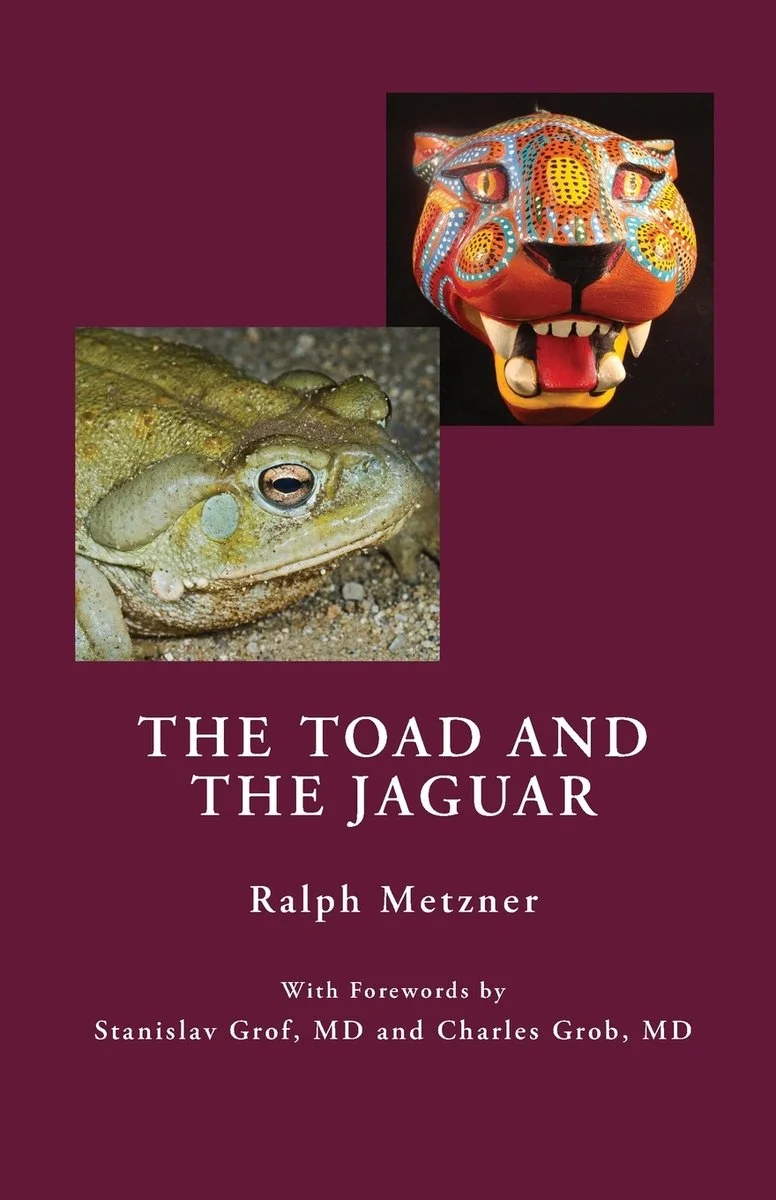 The Toad and the Jaguar: A Field Report of Underground Research on a Visionary Medicine Bufo alvarius and 5-methoxy-dimethyltryptamine — photo 2