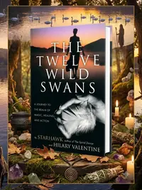 The Twelve Wild Swans: A Journey to the Realm of Magic, Healing, and Action — photo 1