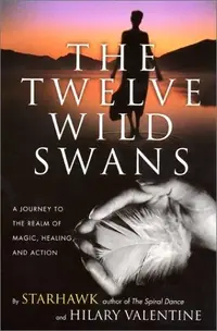 The Twelve Wild Swans: A Journey to the Realm of Magic, Healing, and Action — photo 2