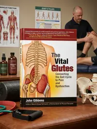 The Vital Glutes: Connecting the Gait Cycle to Pain and Dysfunction — photo 1