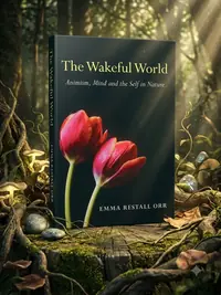 The Wakeful World — photo 1