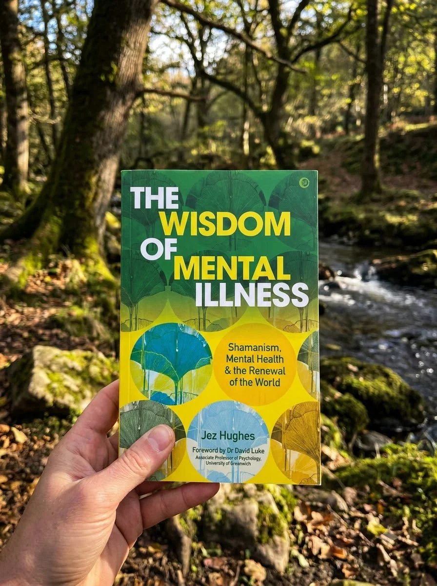 The Wisdom of Mental Illness: Shamanism, Mental Health & the Renewal of the World — photo 2