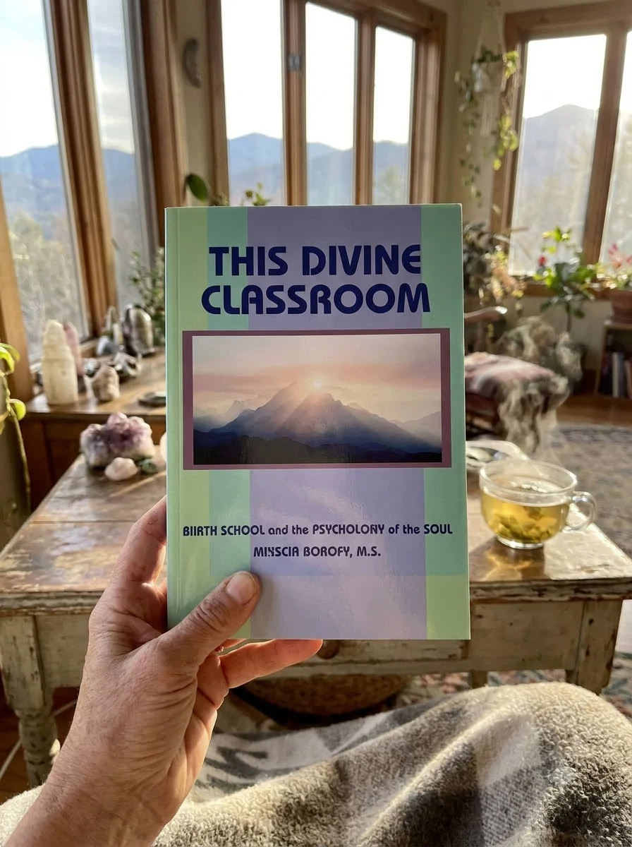 This Divine Classroom: Earth School and the Psychology of the Soul — photo 2