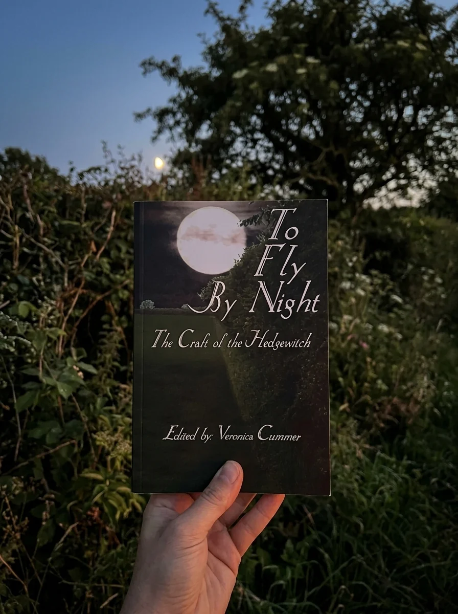 To Fly by Night — photo 2