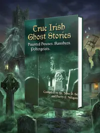 True Irish Ghost Stories: Haunted Houses, Banshees, Poltergeists, and Other Supernatural Phenomena Seymour, John D — photo 1