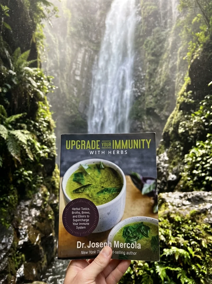 Upgrade Your Immunity with Herbs: Herbal Tonics, Broths, Brews, and Elixirs to Supercharge Your Immune System — photo 2