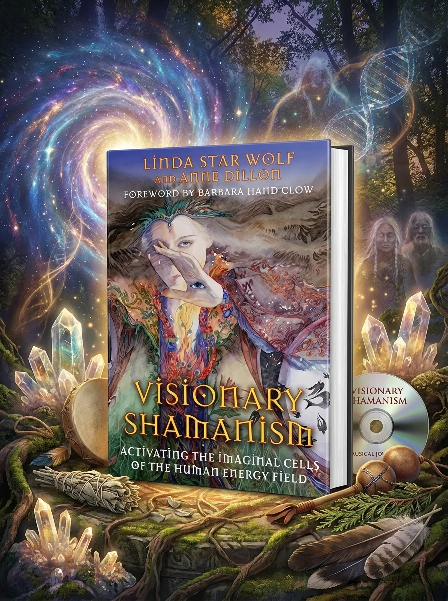 Visionary Shamanism: Activating the Imaginal Cells of the Human Energy Field (Original)