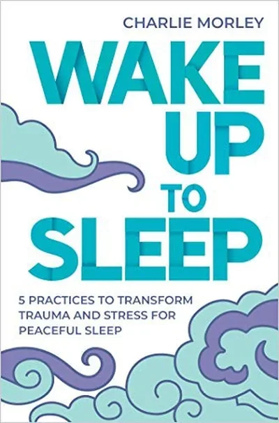 Wake Up to Sleep: 5 Powerful Practices to Transform Stress and Trauma for Peaceful Sleep and Mindful Dreams — dewey-pub:Hay House