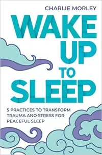 Wake Up to Sleep: 5 Powerful Practices to Transform Stress and Trauma for Peaceful Sleep and Mindful Dreams — photo 2