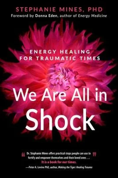 We Are All in Shock: Energy Healing for Traumatic Times — dewey-pub:New Page Books