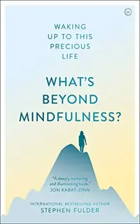 What's Beyond Mindfulness?: Waking Up to This Precious Life — photo 2