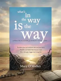 What's in the Way Is the Way: A Practical Guide for Waking Up to Life — photo 1