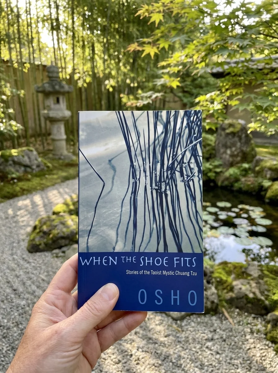 When the Shoe Fits: Stories of the Taoist Mystic Chuang Tzu (Revised) — photo 2