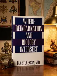 Where Reincarnation and Biology Intersect — photo 1