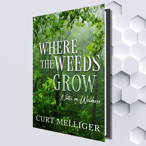 Where the Weeds Grow: Notes on Wildness — photo 3