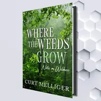 Where the Weeds Grow: Notes on Wildness — photo 2