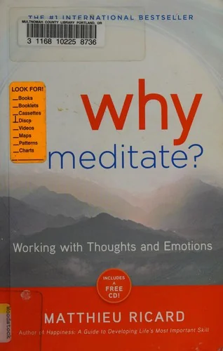 Why Meditate? — photo 3