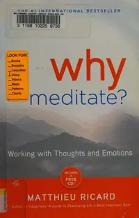 Why Meditate? — photo 2