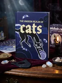 Wicked Cat Mini Spirit Board — photo 1