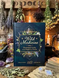 Wild Medicine: An Illustrated Guide to the Magick of Herbs — photo 1