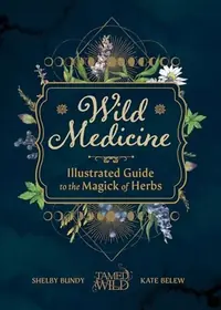 Wild Medicine: An Illustrated Guide to the Magick of Herbs — photo 2