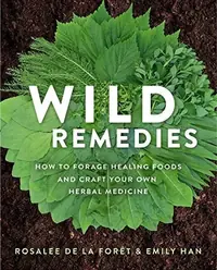 Wild Remedies: How to Forage Healing Foods and Craft Your Own Herbal Medicine — photo 2