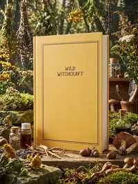 Wild Witchcraft: Folk Herbalism, Garden Magic, and Foraging for Spells, Rituals, and Remedies — photo 1
