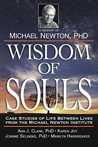 Wisdom of Souls: Case Studies of Life Between Lives from the Michael Newton Institute