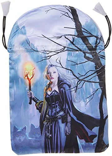 Witches Tarot Bag Llewellyn — photo 3