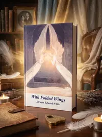 With Folded Wings — photo 1
