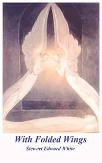 With Folded Wings — photo 2