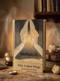 With Folded Wings — photo 1