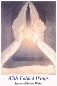 With Folded Wings — photo 2