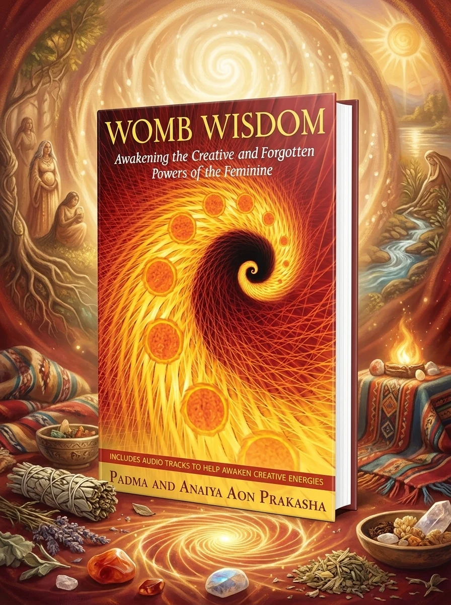 Womb Wisdom: Awakening the Creative and Forgotten Powers of the Feminine [With CD (Audio)]