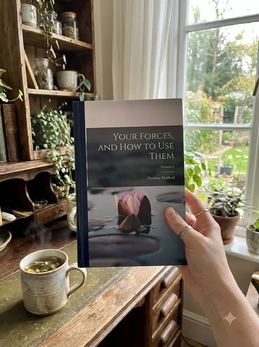 Your Forces, and how to use Them; Volume 1 — photo 2