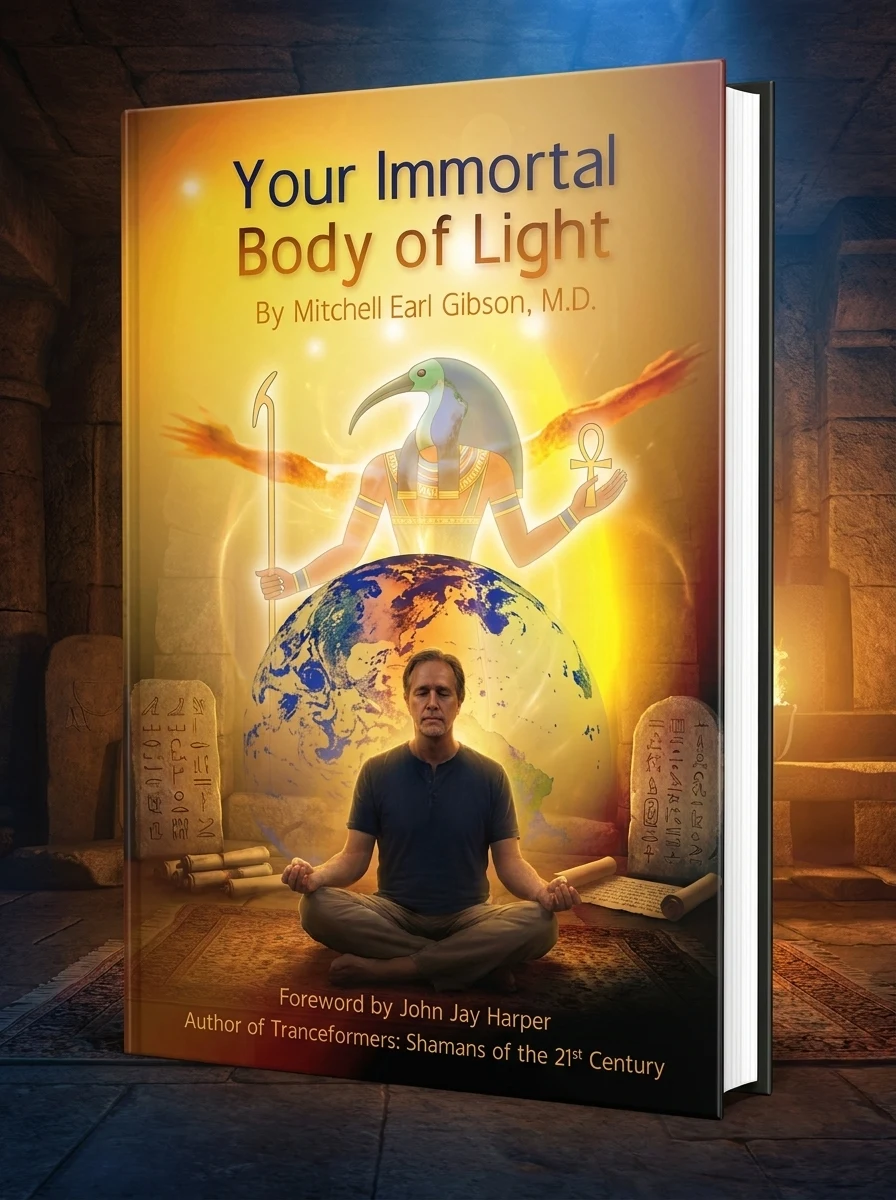 Your Immortal Body of Light by Gibson, Mitchell E